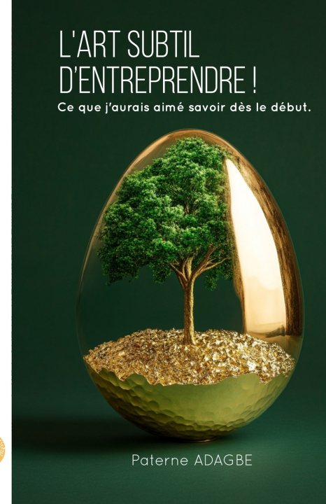 Book L'art subtil d'entreprendre Paterne Anihouvi Adagbe