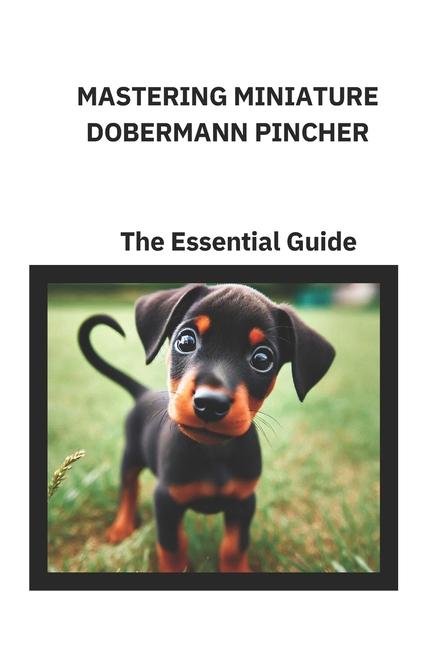 Book Mastering Miniature Dobermann Pincher Elizabeth Richards