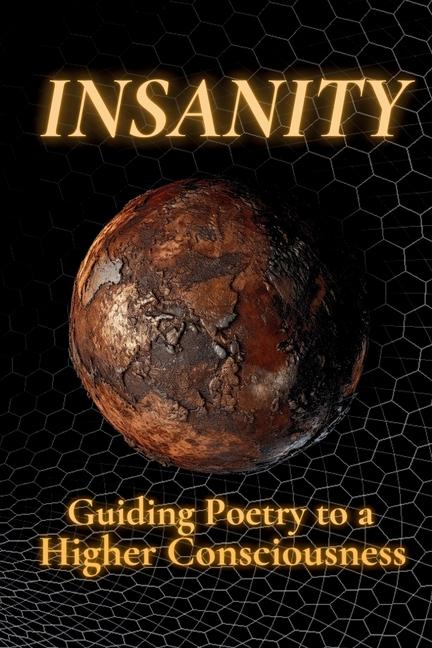 Knjiga Insanity Rumi Bumi