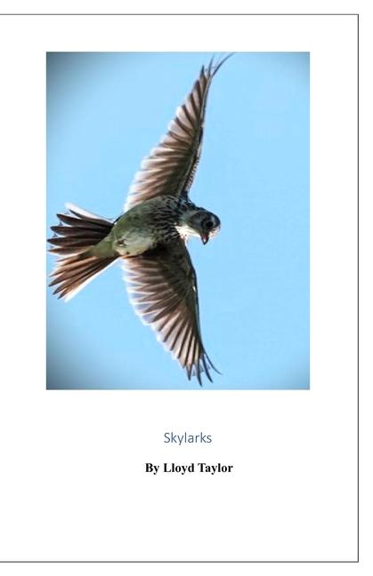 Book Skylarks Lloyd Taylor