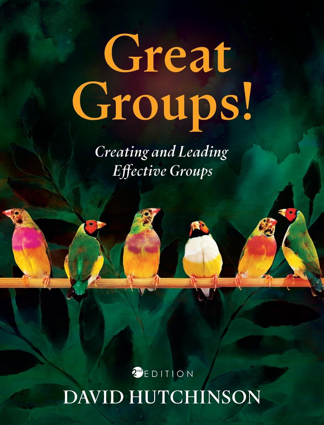 Buch Great Groups! David Hutchinson