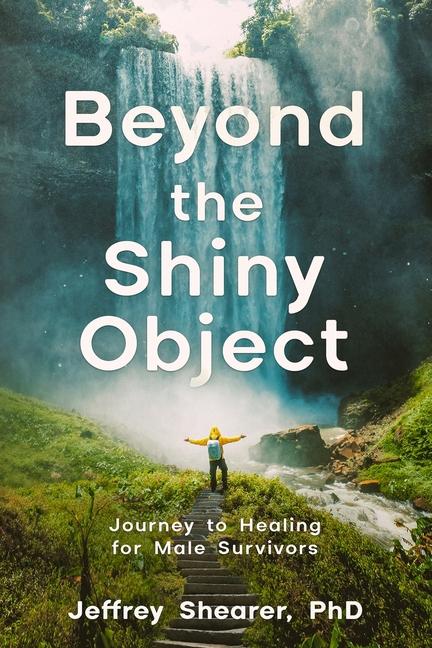 Knjiga Beyond the Shiny Object Jeffrey Shearer