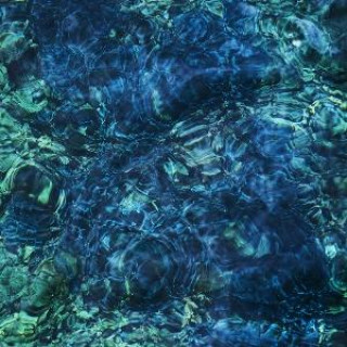 Audio Luminescent Creatures Blood Incantation