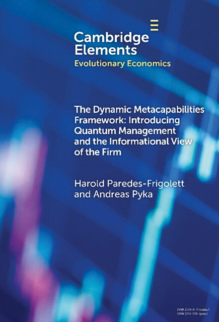 Knjiga The Dynamic Metacapabilities Framework Harold J. Paredes-Frigolett