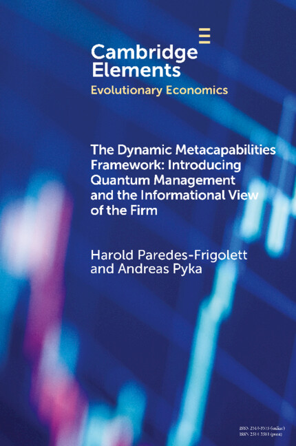 Knjiga The Dynamic Metacapabilities Framework Harold J. Paredes-Frigolett