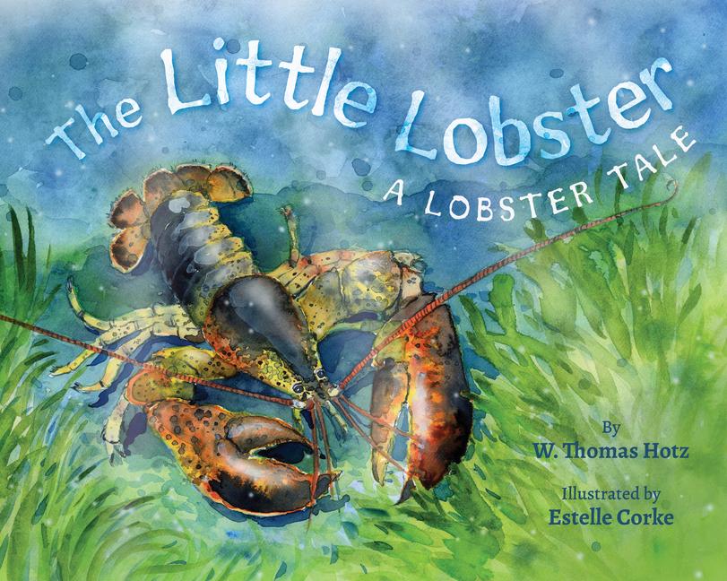 Livro The Little Lobster Estelle Corke