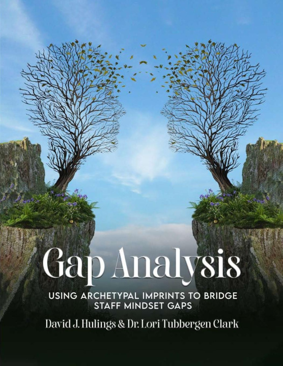 Knjiga Gap Analysis Lori Tubbergen Clark