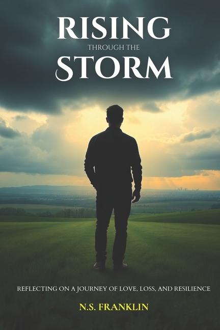 Knjiga Rising Through the Storm N.S. Franklin
