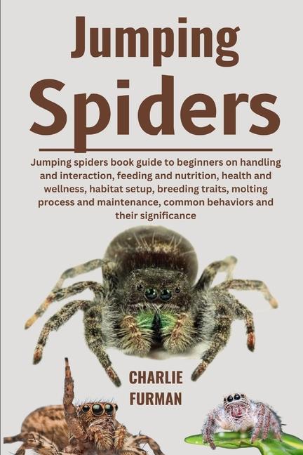 Kniha Jumping Spiders Charlie Furman