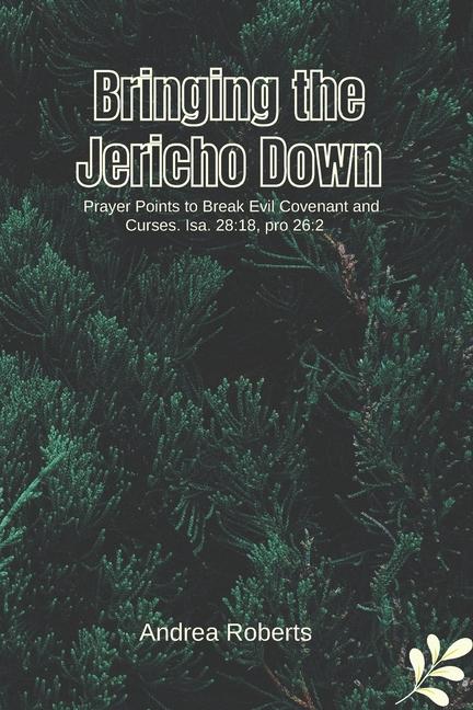 Knjiga Bringing the Jericho Down Andrea Roberts