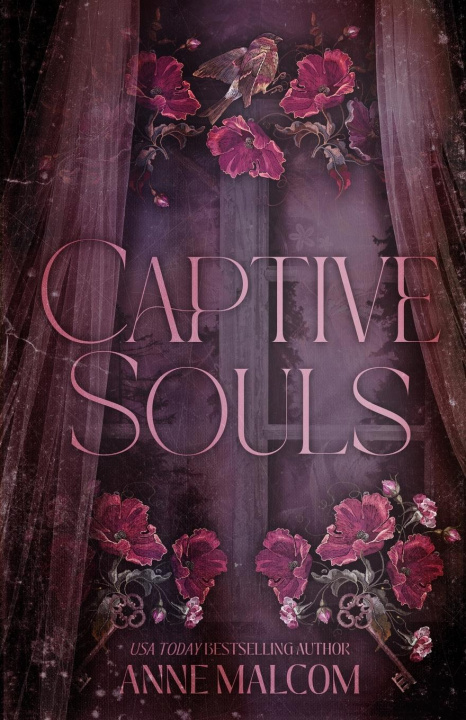 Buch Captive Souls Anne Malcom