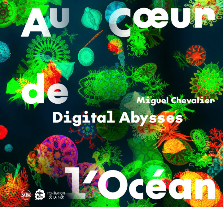 Libro Digital abysses Chevalier