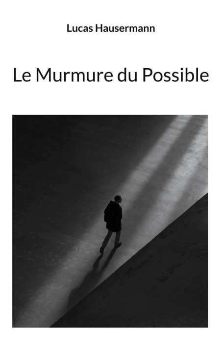 Kniha MURMURE DU POSSIBLE HAUSERMANN LUCAS