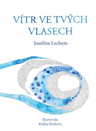 Knjiga Vítr ve tvých vlasech Josefína Lechem