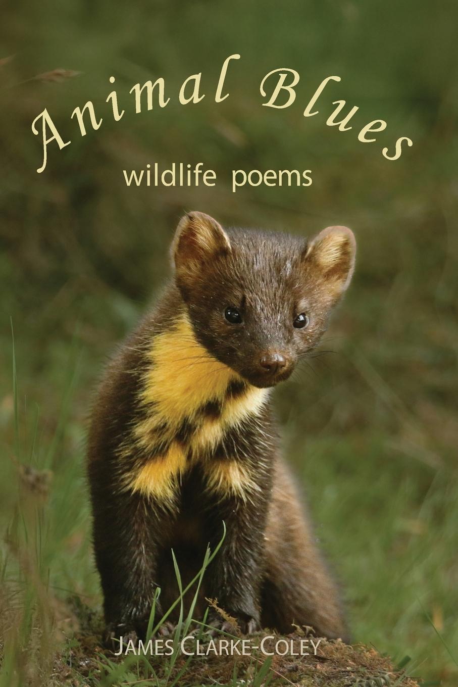Knjiga Animal Blues - Wildlife Poems James Clarke-Coley