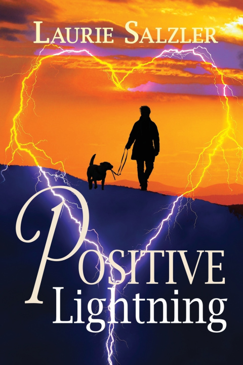 Buch Positive Lightning Laurie Salzler