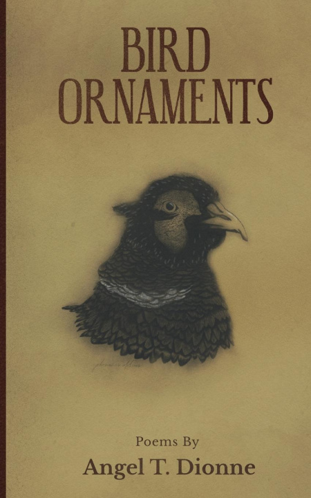 Buch Bird Ornaments Angel T Dionne