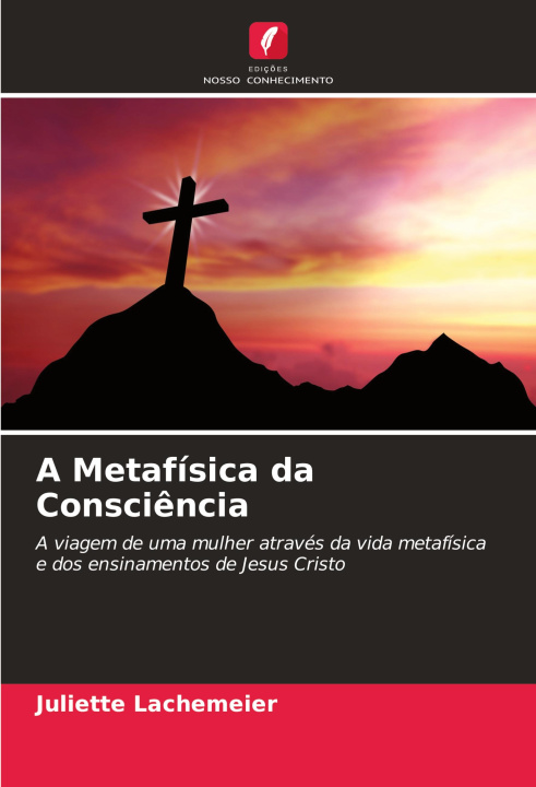Buch A Metafísica da Consci?ncia Juliette Lachemeier