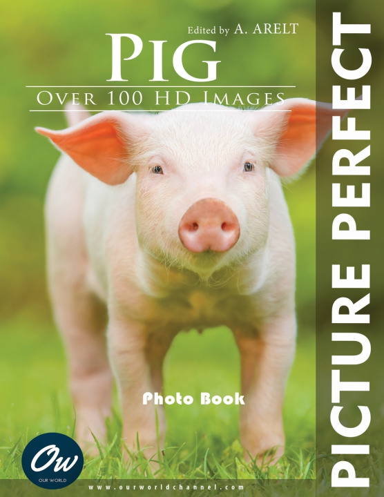 Kniha Pig Our World
