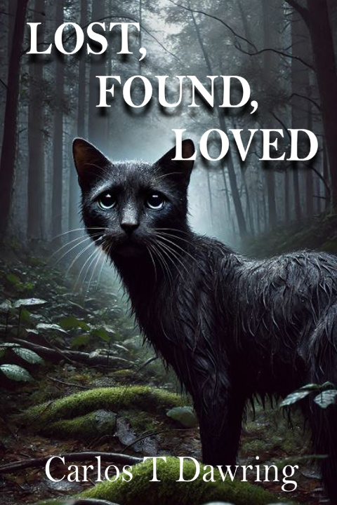 Knjiga Lost, Found, Loved. Carlos T Dawring