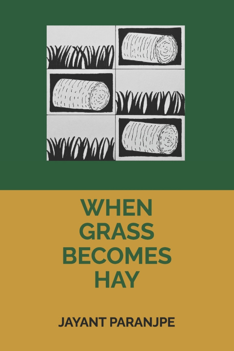 Knjiga When Grass Becomes Hay JAYANT PARANJPE
