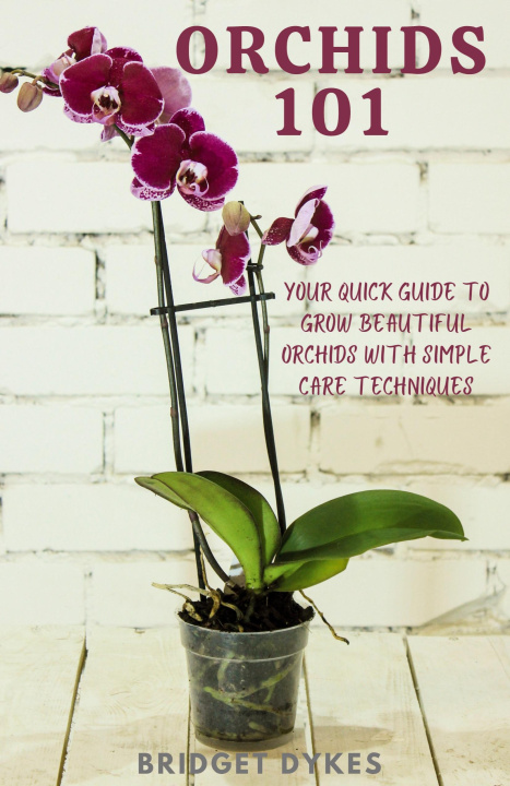 Knjiga Orchids 101 Bridget Dykes
