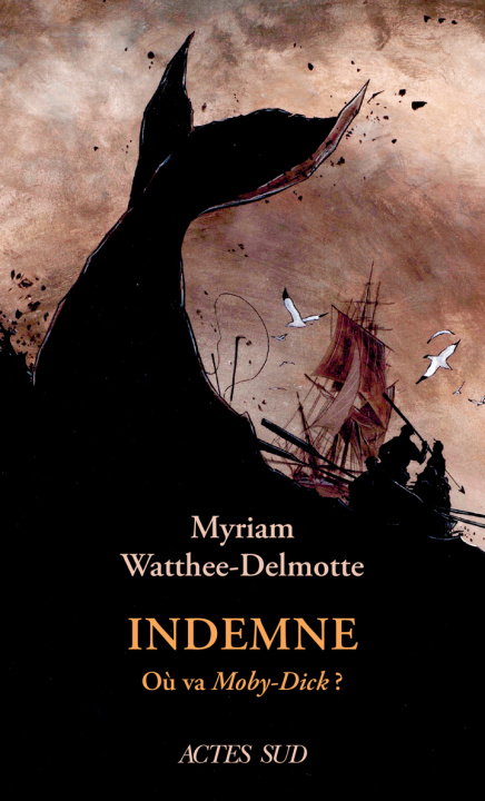 Knjiga Indemne Watthee-delmotte