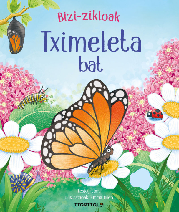 Knjiga TXIMELETA BAT SIMS