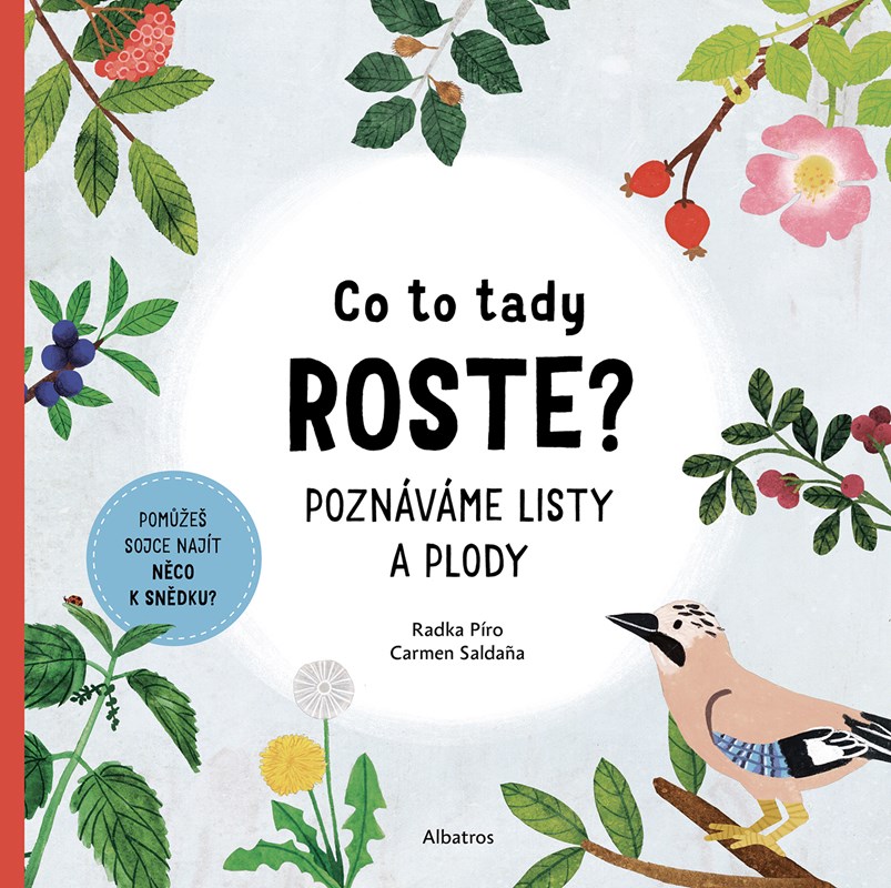 Boek Co to tady roste? Radka Píro