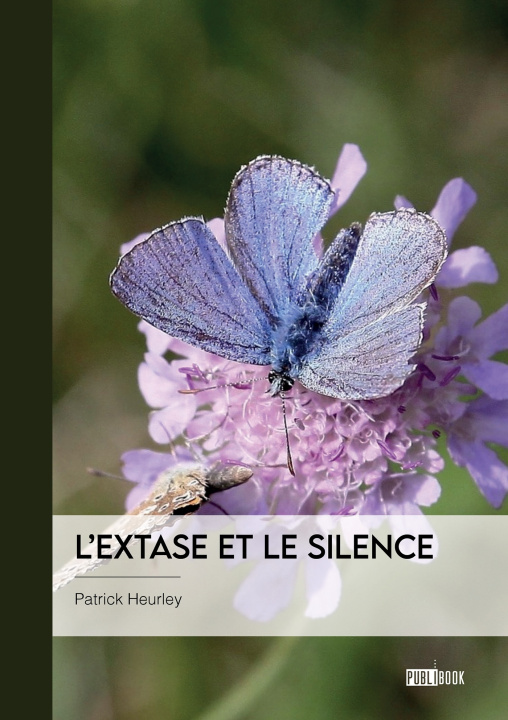 Knjiga L'extase et le silence Christiane Mercier