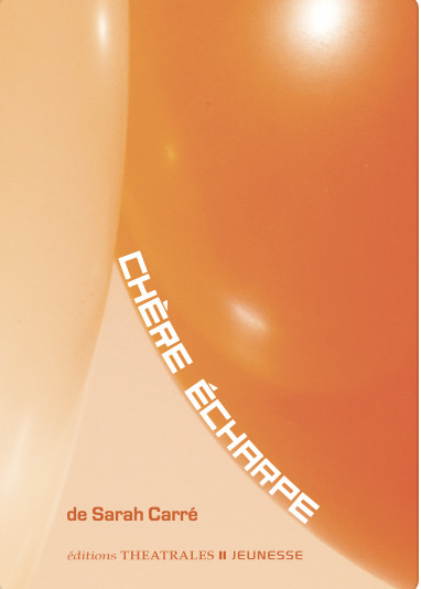 Knjiga Chère écharpe Carré