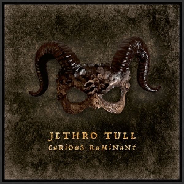Audio Curious Ruminant Jethro Tull