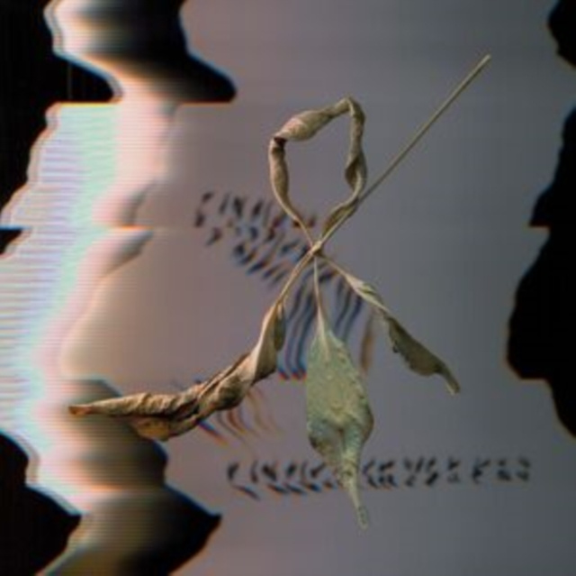 Audio  Trill Scan T. Gowdy