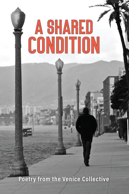 Knjiga A Shared Condition The Venice Collective
