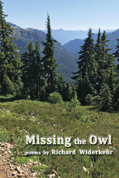 Knjiga Missing the Owl Richard Widerkehr