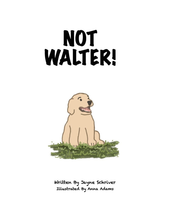Knjiga Not Walter Jayne Schriver