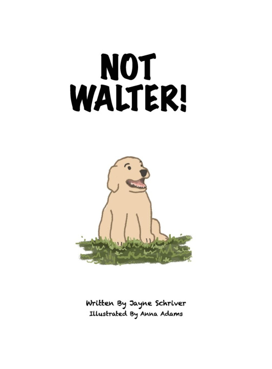 Knjiga Not Walter Jayne Schriver