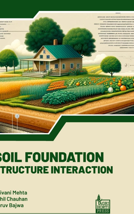 Knjiga Soil Foundation Structure Interaction Shivani Mehta