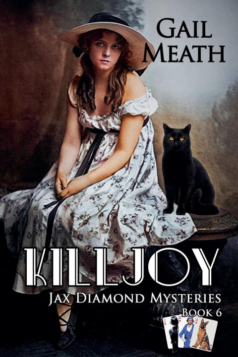 Könyv Killjoy Gail Meath