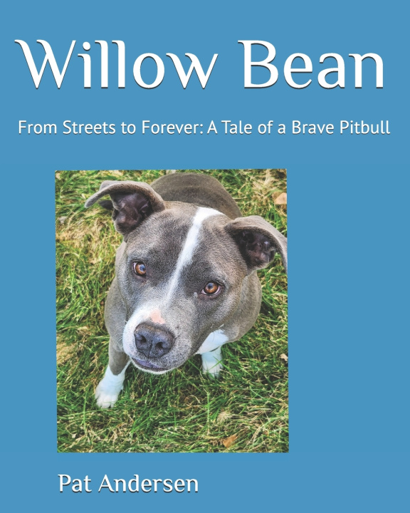 Knjiga Willow Bean Pat Andersen