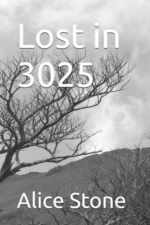 Knjiga Lost in 3025 Alice Stone