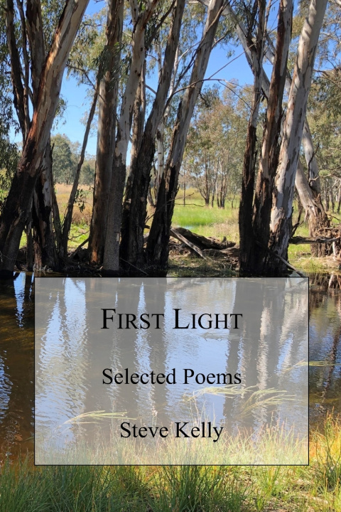 Knjiga First Light Steve Kelly