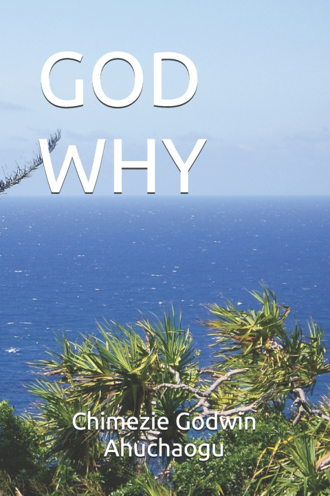 Knjiga God Why Chimezie Godwin Ahuchaogu