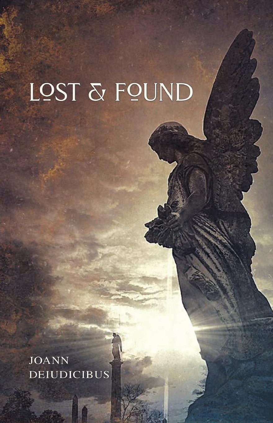 Knjiga Lost & Found Joann Deiudicibus