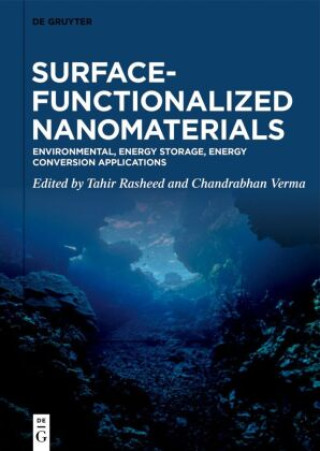 Buch Surface-Functionalized Nanomaterials Tahir Rasheed