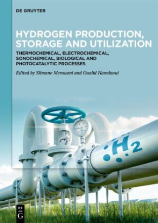 Knjiga Hydrogen Production, Storage and Utilization Slimane Merouani