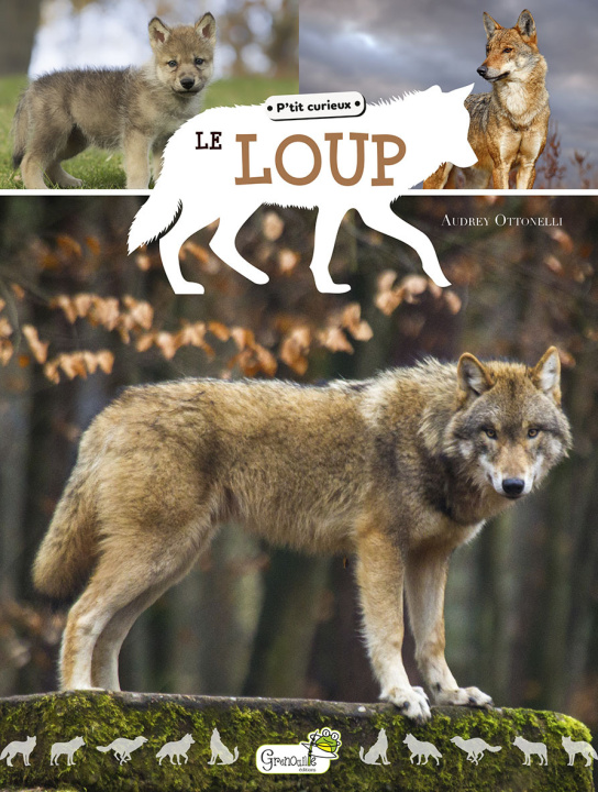 Boek Le loup BOUTRY