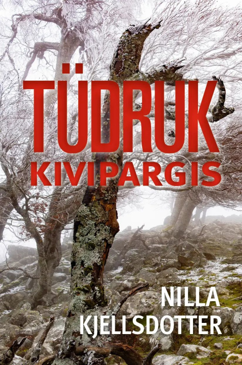 Knjiga Tüdruk kivipargis 