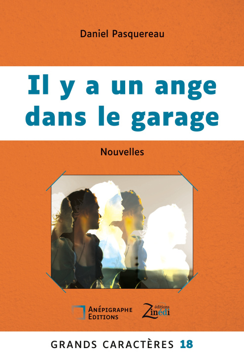 Knjiga IL Y A ANGE DANS GARAGE PASQUEREAU DANIEL