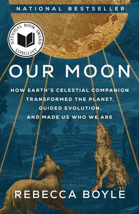 Книга OUR MOON BOYLE REBECCA